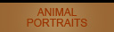 Animal Porraits btn